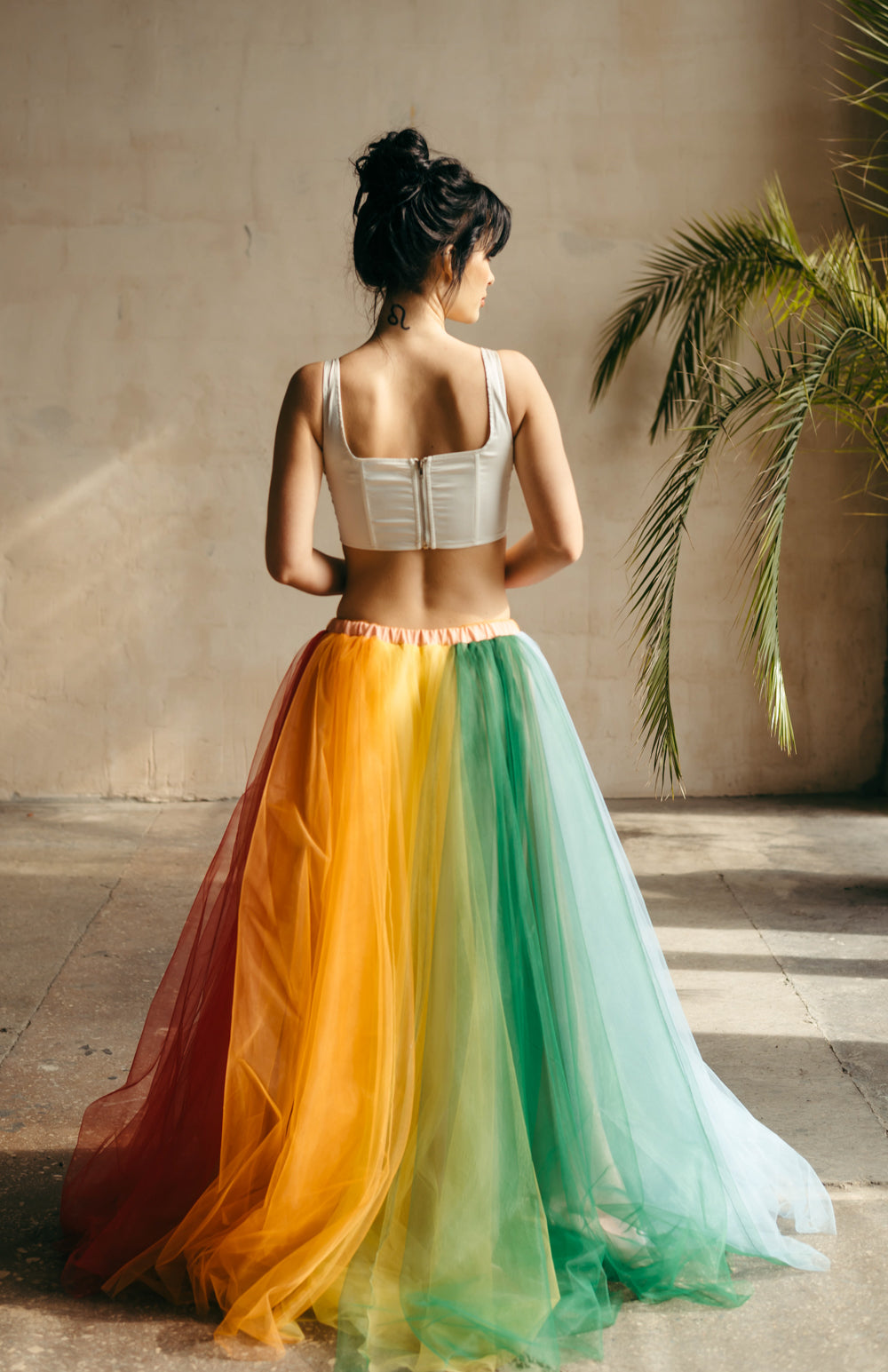 Classic rainbow tulle skirt, back view by wall