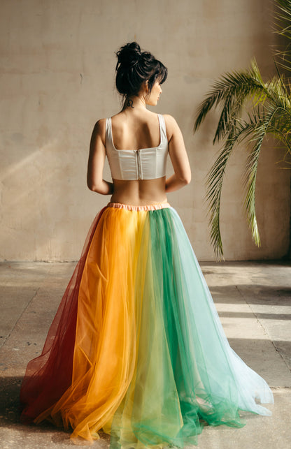 Classic rainbow tulle skirt, back view by wall