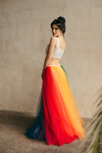 Classic rainbow tulle skirt, back view full length